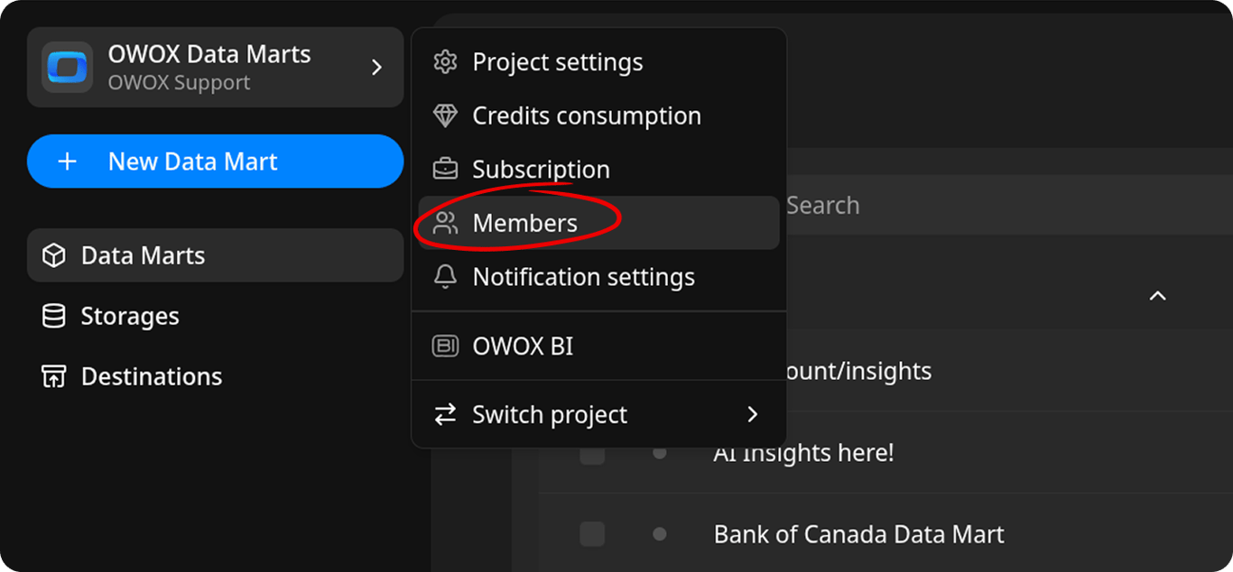 Project Settings Members page showing the list of project members with their names and roles