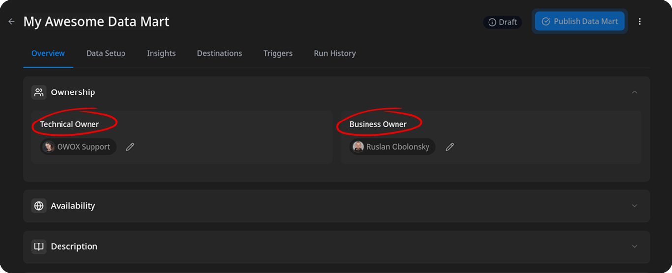 Data Mart settings showing Technical Owner and Business Owner fields with assigned project members