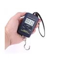 Portable High Precision Digital Electronic Scale with 40kg Capacity, Hanging Hook, Compact Design, Easy-to-Read Display, Durable Construction - Ideal for Fishing, Luggage, Kitchen Use, Travel, Anglers, Home Cooks - Accurate Weighing Tool for Versatile Applications