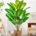 Realistic Large Tropical Palm Tree Fake Banana Plant with Adjustable Height - Real Touch Strelitzia Reginae Plastic Leaves for Indoor/Outdoor Decor - Durable & Low Maintenance Artificial Plant - Easy to Clean - Versatile Home/Garden Decoration Piece