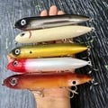 Durable High-Quality Floating Pencil Fishing Lure for Carp and Fish Species - Realistic Design with Vibrant Colors and Lifelike Details - Versatile Pesca Equipment for Walking the Dog or Swimbait Techniques - Enhance Your Fishing Gear for Successful Catches