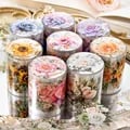 Mr.paper PET Washi Tape Flower Garden Series Decorative Tape Set - Premium Quality Floral Patterned Tape for Diaries, Journals, Scrapbooks, Planners, and Stationery - Durable, Repositionable, and Versatile - Great Gift for Plant Enthusiasts - Complete Set with Matching Stickers for Elegant Projects
