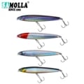 Premium 10cm 24g Pencil Sinking Fishing Lure Set for Bass and Saltwater Fishing - Realistic Design, High-Quality Construction, Versatile Trolling Accessories, Enhanced Attractiveness - Complete 4-Piece Set for Beginner and Experienced Anglers