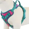 Adjustable Splicing Colors Dog Harness with Breathable Mesh Fabric, No-Pull Design, and Personalized Options - Stylish and Comfortable Walking Harness for Dogs, Custom Fit Chest Strap for Maximum Control and Comfort