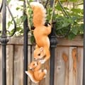 Whimsical Handcrafted Climbing Rope Squirrel Figurine for Garden Decor - Weather-Resistant, Easy to Install, Unique Outdoor Gift Idea