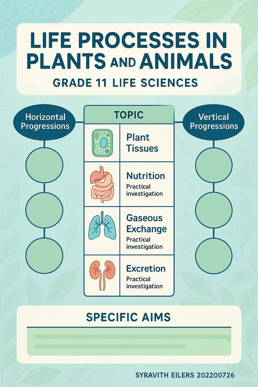 Unraveling Life: Photosynthesis and Beyond