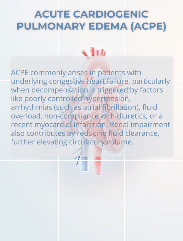 Navigating Acute Cardiogenic Pulmonary Edema: Insights and Interventions