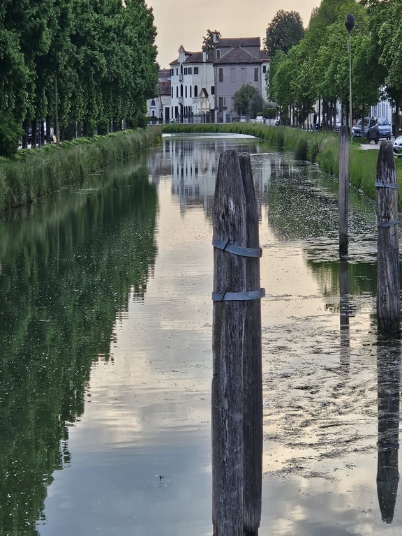 Tranquil Canal Scene