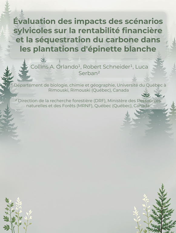 Sustainable Timber: Balancing Profit and Carbon Sequestration in White Spruce Plantations