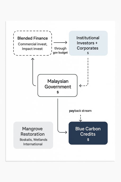 Navigating Financial Flows: The Path to Sustainable Solutions