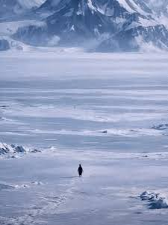 Solitude in the Arctic