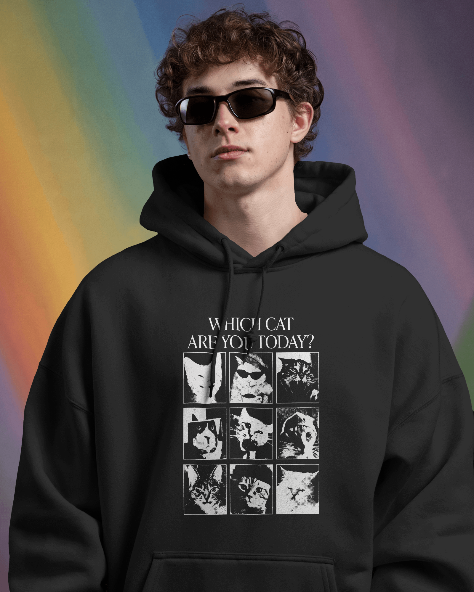 Which Cat Are You Today Siyah Kapüşonlu Sweatshirt