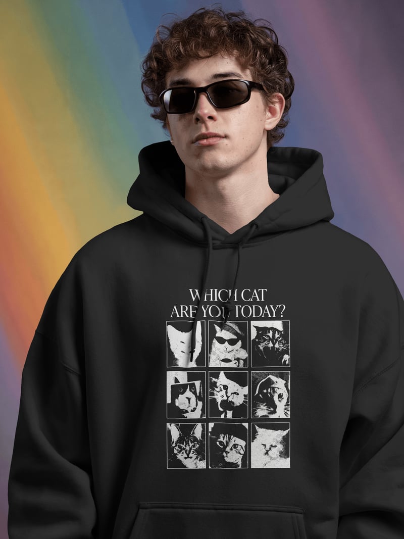 Which Cat Are You Today Siyah Kapüşonlu Sweatshirt