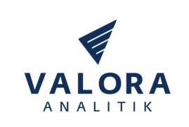 www.valoraanalitik.com