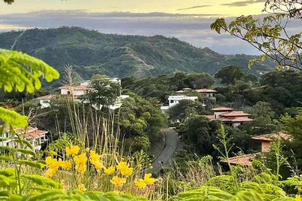View through yellow flowers and ferns of town buildings and roads below with mountains in the background in Costa Rica