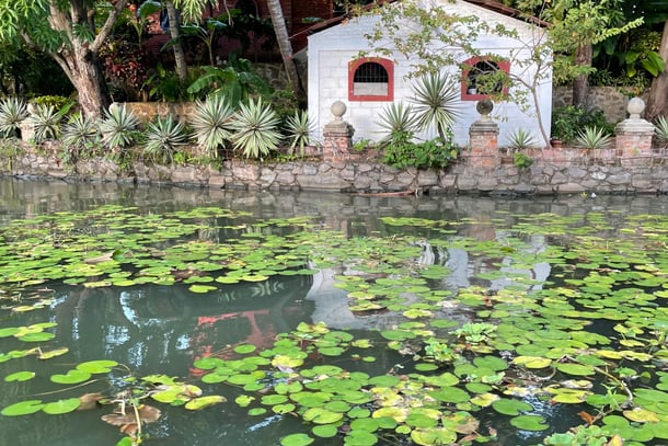 Small white home and trees at rivers edge covered by lily pads in Granada, Nicaragua