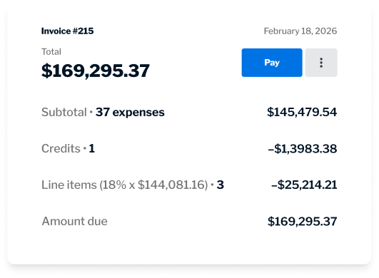 Customer invoice payment options