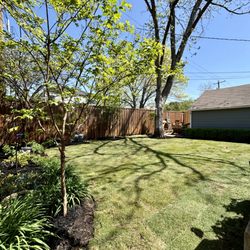Ruiz Landscape & Lawn Care
