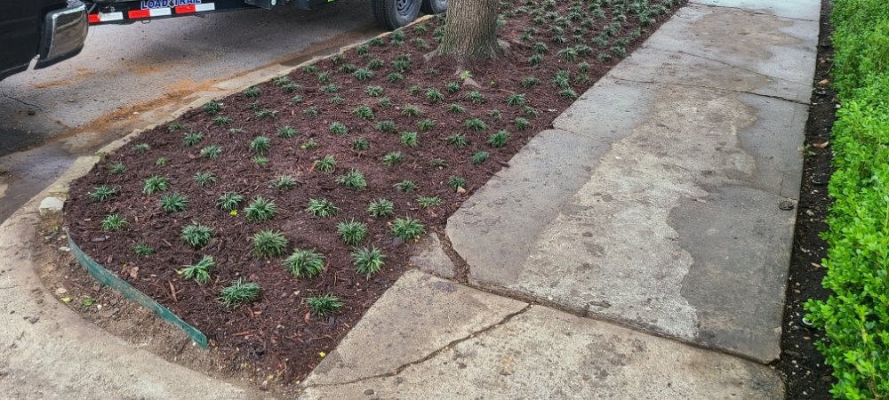 Xscapes Irrigation and Landscapes