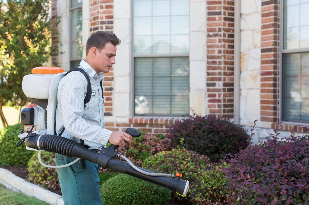 All-Safe Pest & Termite