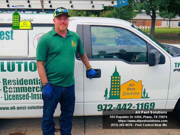 All Pest Solutions