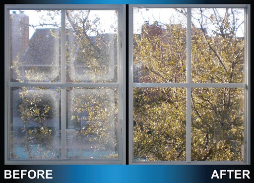 Gizmo Glass Replacement