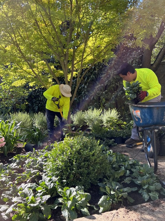 Southern Botanical Landscaping