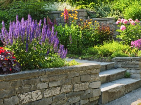 Xscapes Irrigation and Landscapes