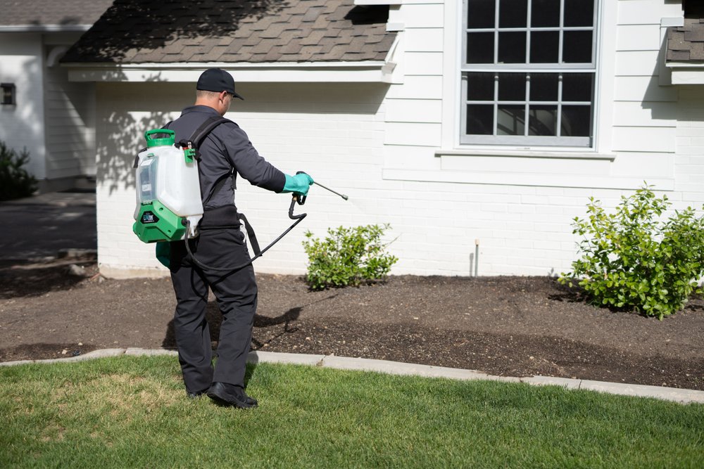 Hawx Pest Control