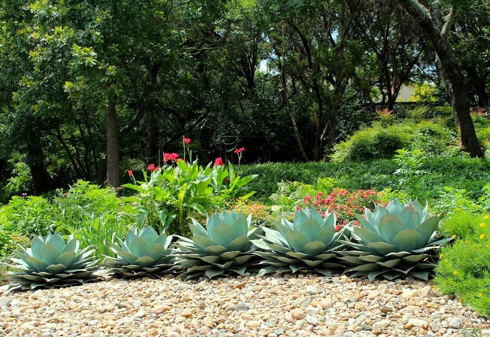 Texas Nativescapes