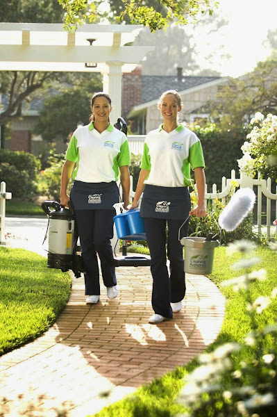 The Cleaning Authority - Fort Worth