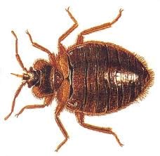 M W Exterminating