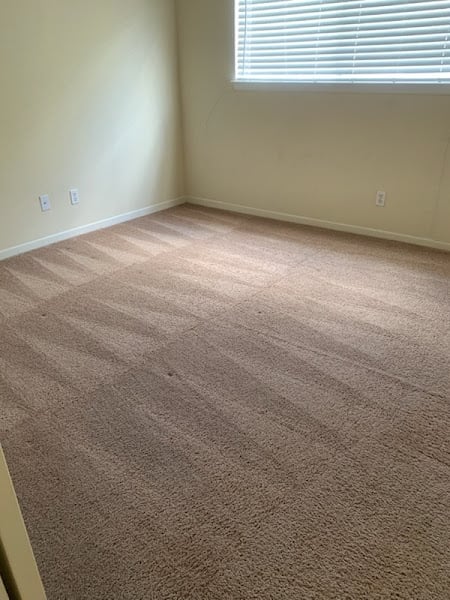 The Cleaning Authority - Coppell