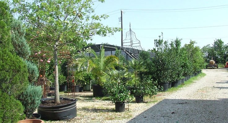 Slater Lawn & Garden