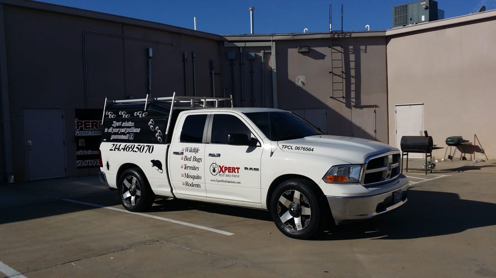 Xpert Pest Solutions