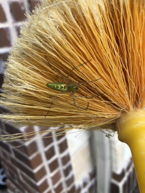 AJB Pest & Termite