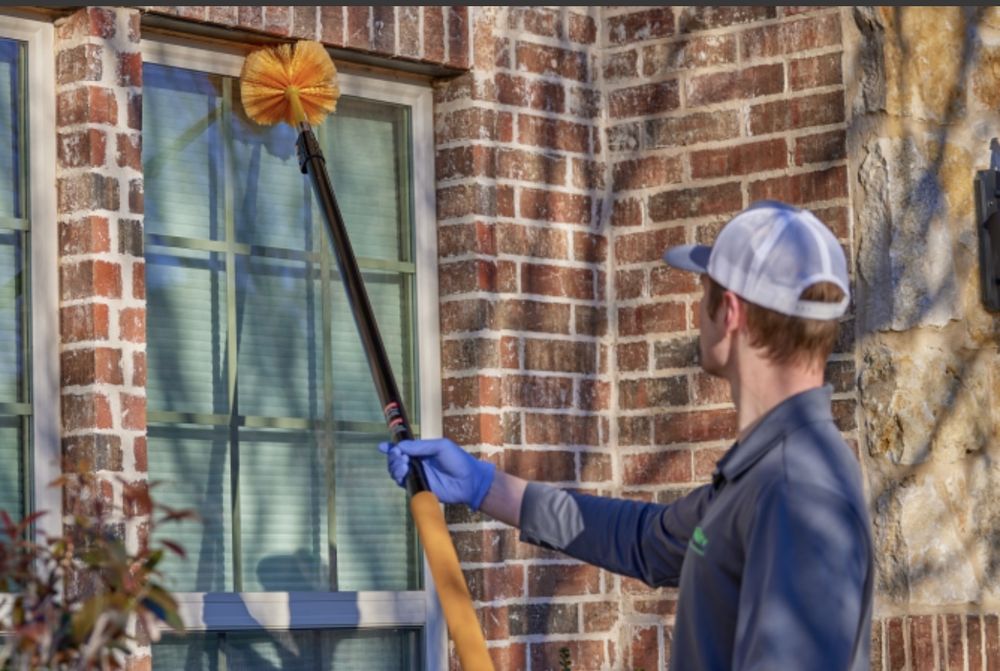 Dynasty Pest Control
