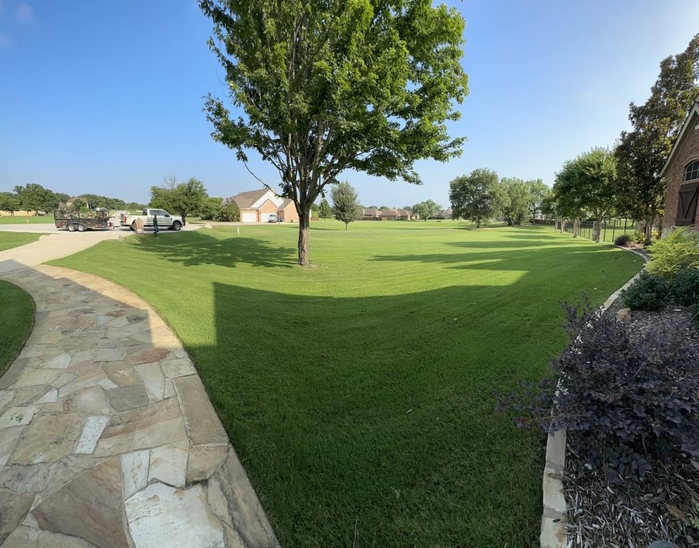 Rauls Lawn Care
