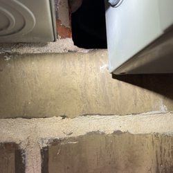 All Pest Solutions