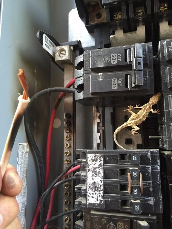 Echeverria Bros Electric