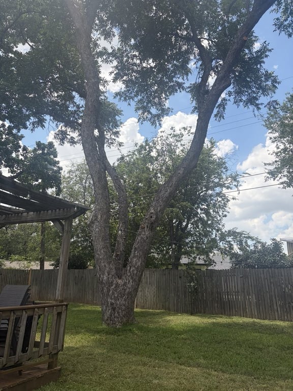 Torres Tree Service