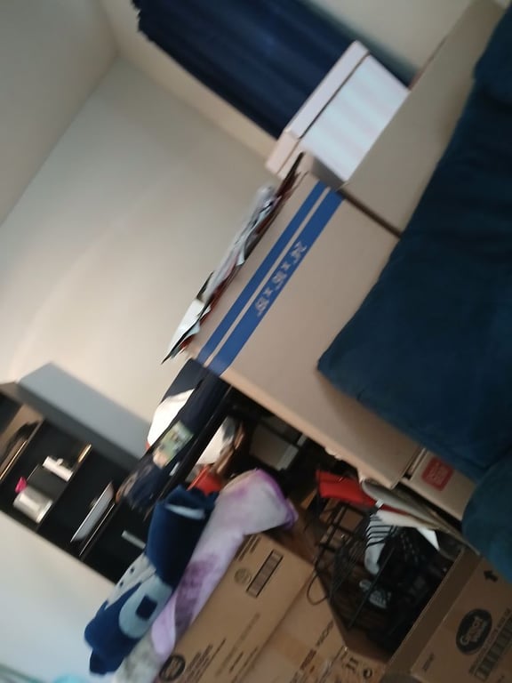 Reasonable Moving Services