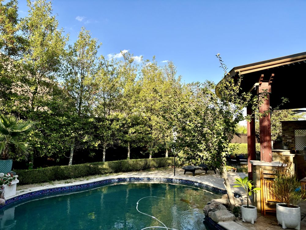 Ruiz Landscape & Lawn Care