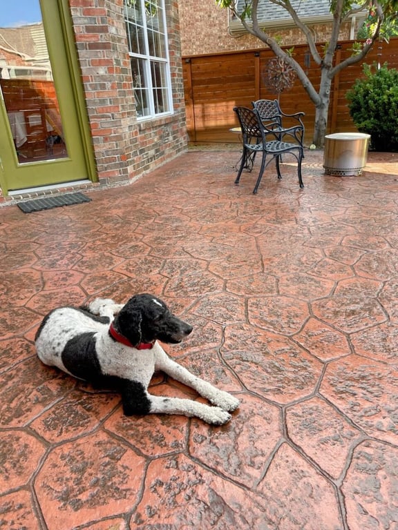 Patio Doctor