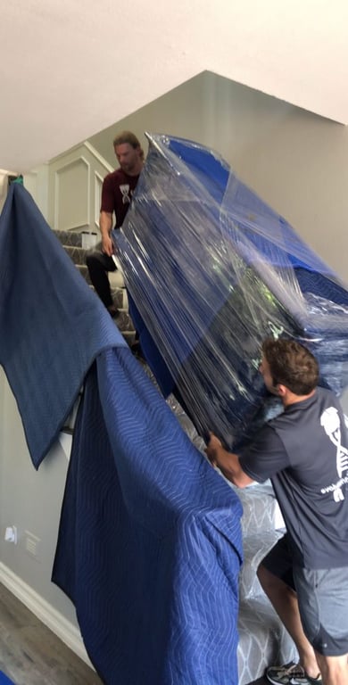 Evolution Moving Company