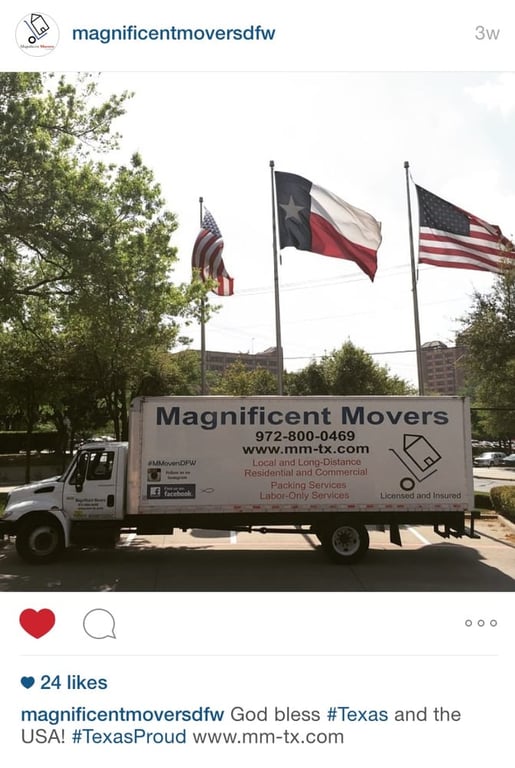 Magnificent Movers