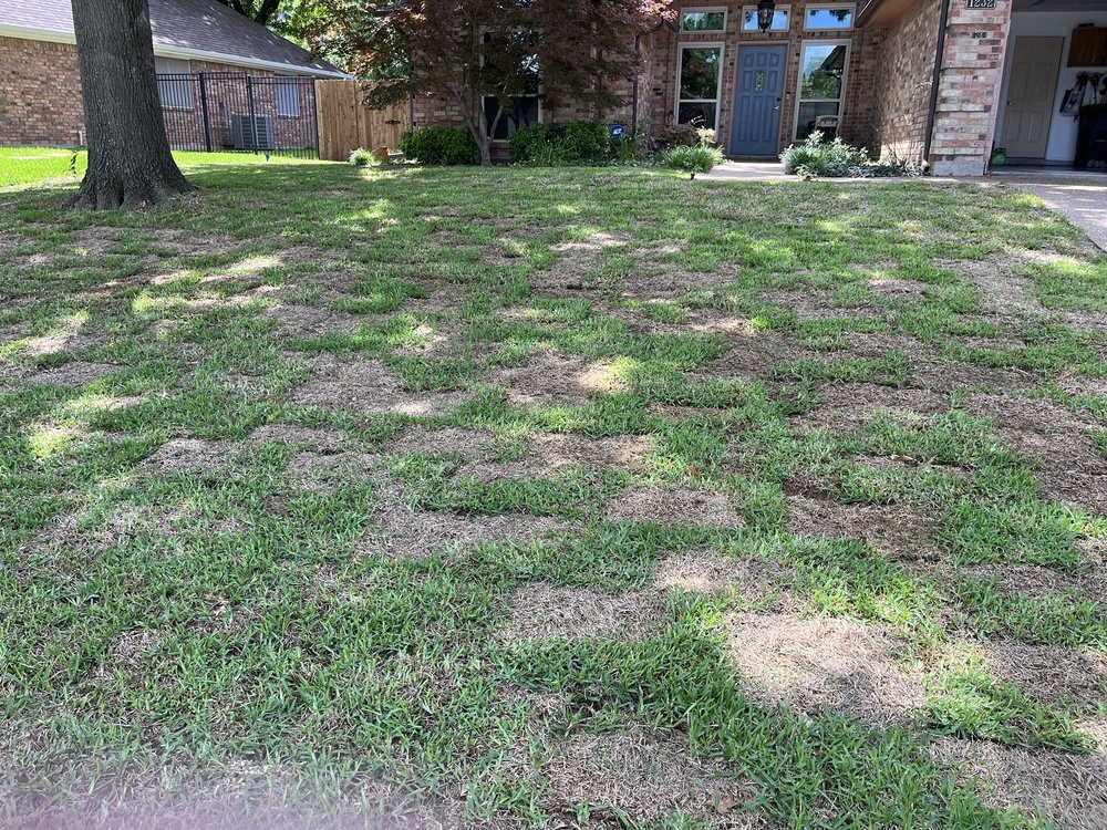 J&J Sod Company