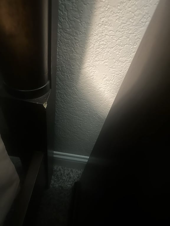 Buddy Moving