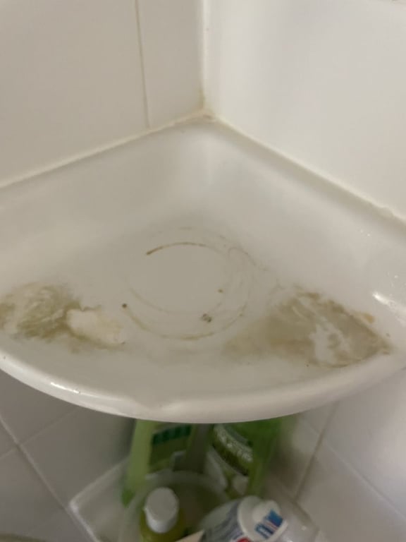 The Joy Of Clean