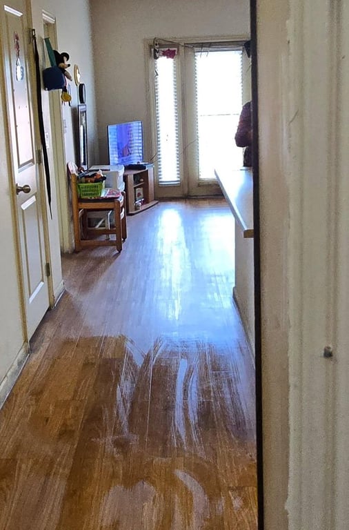 Bees Knees Cleans